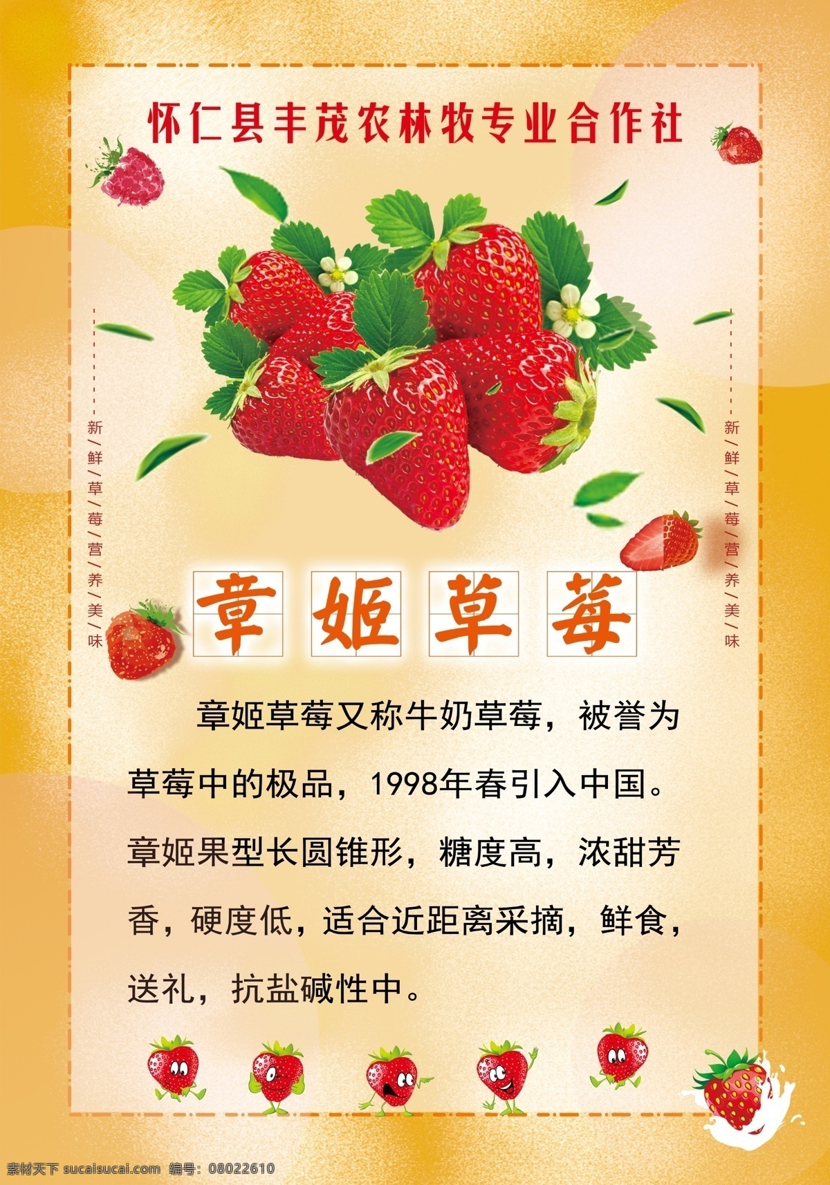 草莓介绍 草莓品种 各种草莓介绍 草莓展板 红颜草莓 章姬草莓 香颜草莓 草莓 草莓海报模板 分层