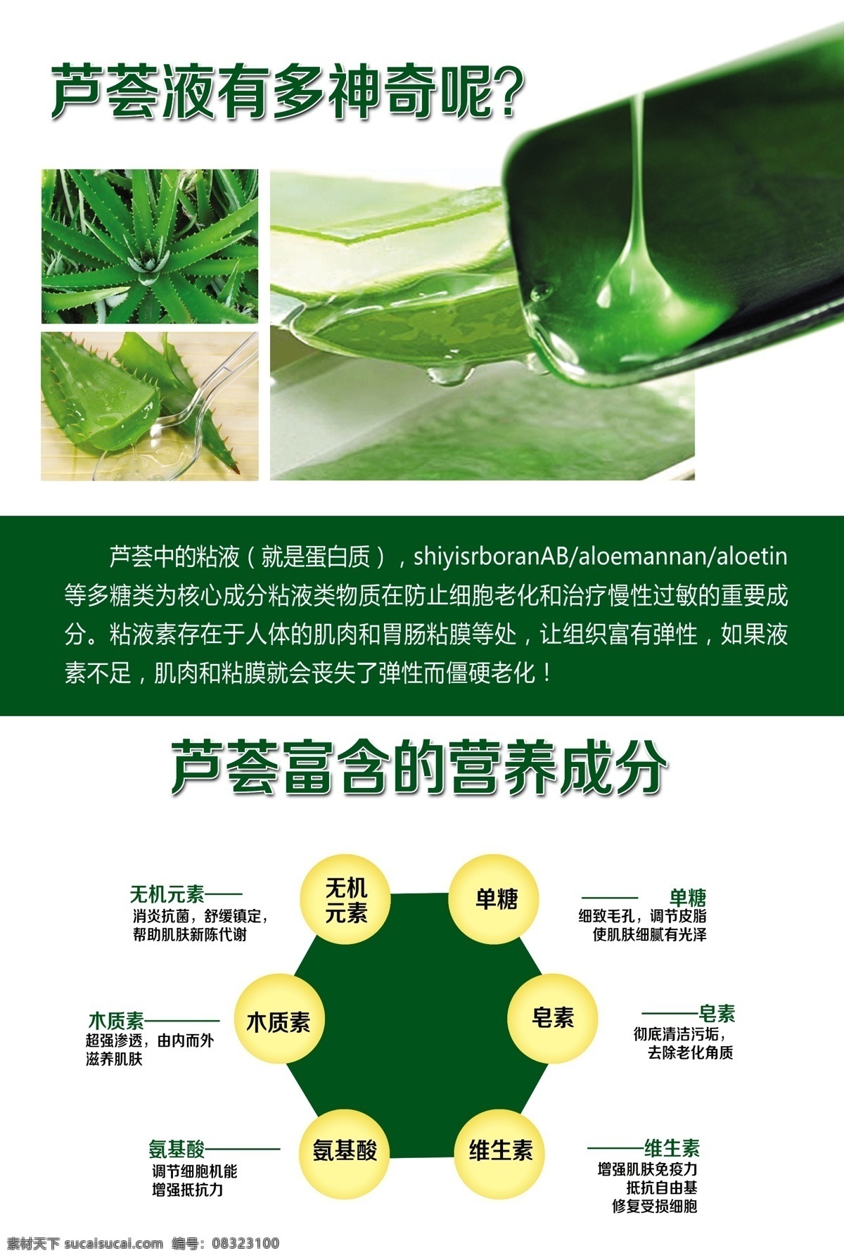 芦荟 美容 海报 花溪芦荟 养生 芦荟营养成份 美肤 完美