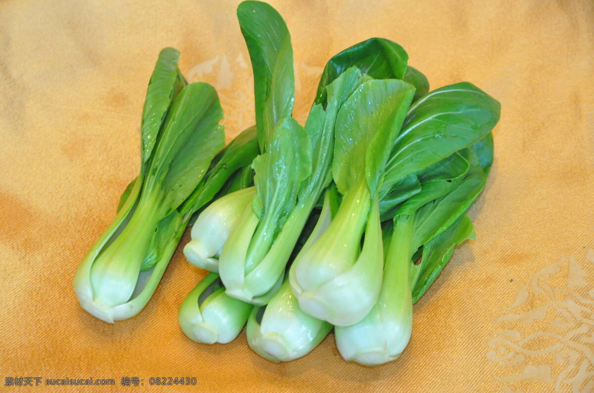 油菜 食材 菜谱 原始 食物 蔬菜 美食 青菜 植物 绿叶 绿色 上海青 小油菜 食物原料 餐饮美食