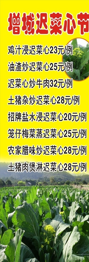 增城 迟 菜心 海报 迟菜心 迟菜心图 迟菜心x架 菜 矢量