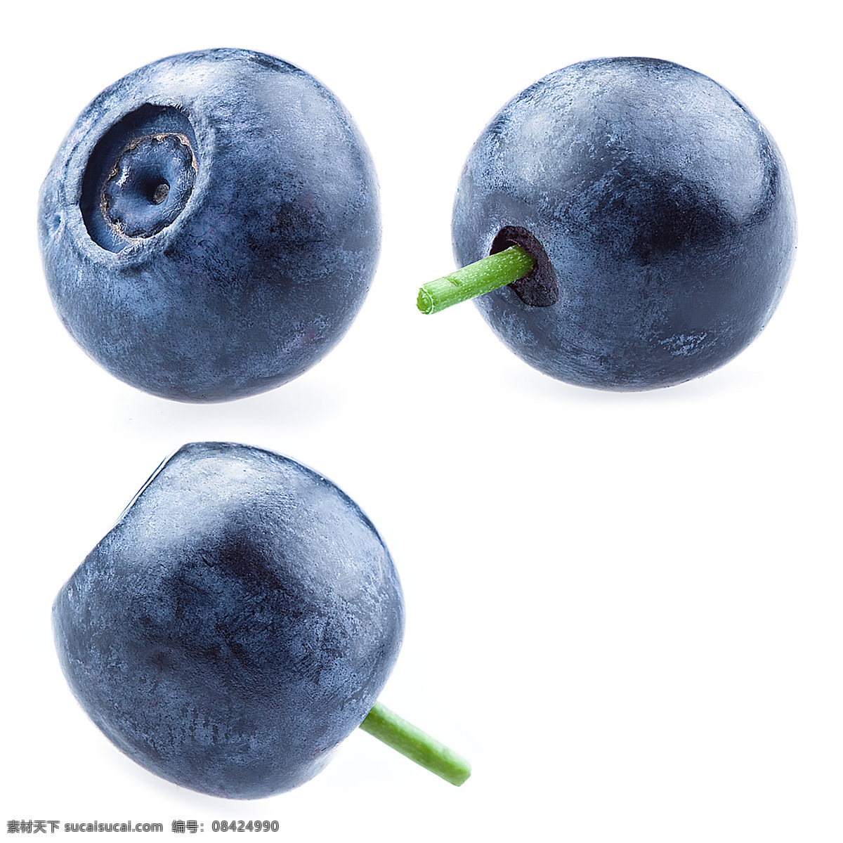 蓝莓 农业 饮食 食物 抗氧化物 维生素 水果 浆果 食品 美味 有机食品 生物世界