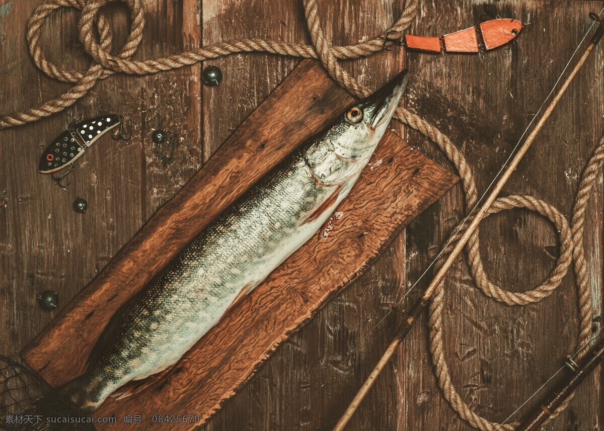木板 上 鱼 鱼竿 户外活动 钓鱼 其他类别 生活百科