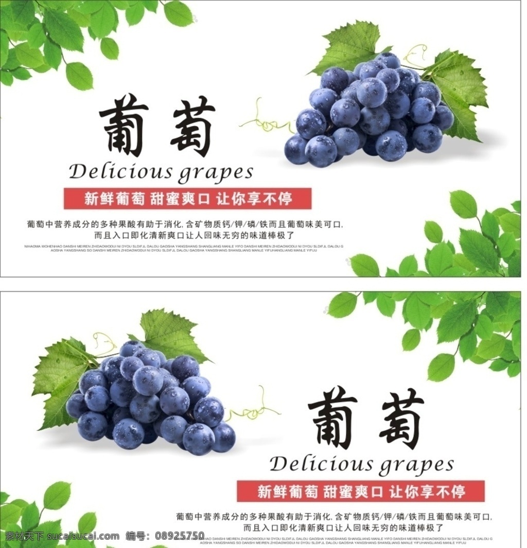 黑葡萄 葡萄介绍 叶子素材 葡萄展板 葡萄喷画