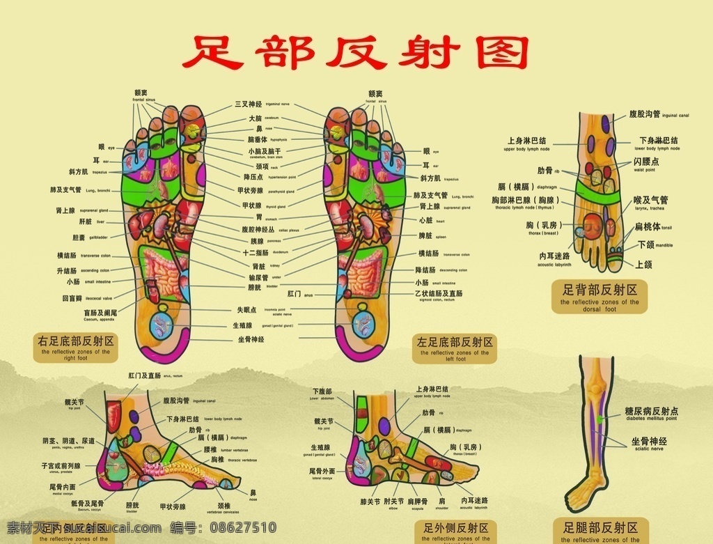 足部反射图 足部 反射图 足浴 反射区 足部反射区 足 洗脚店 其它类 室外广告设计