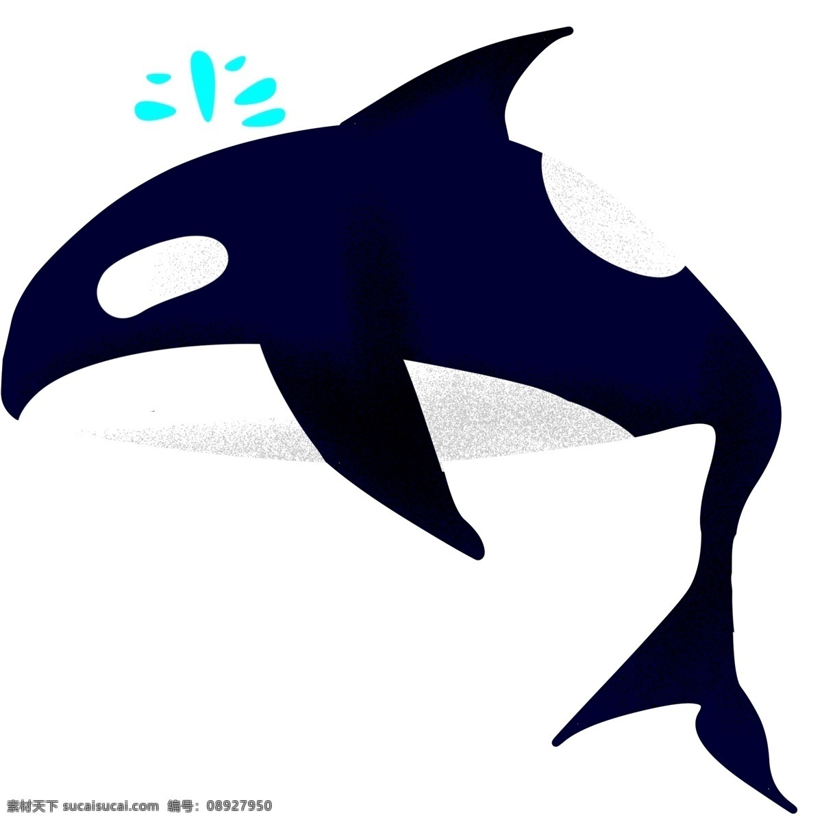 蓝黑色 游动 鲸鱼 插画 蓝色的海洋 水 水生动物 大鲸鱼 白色斑纹 水中 白色的肚皮