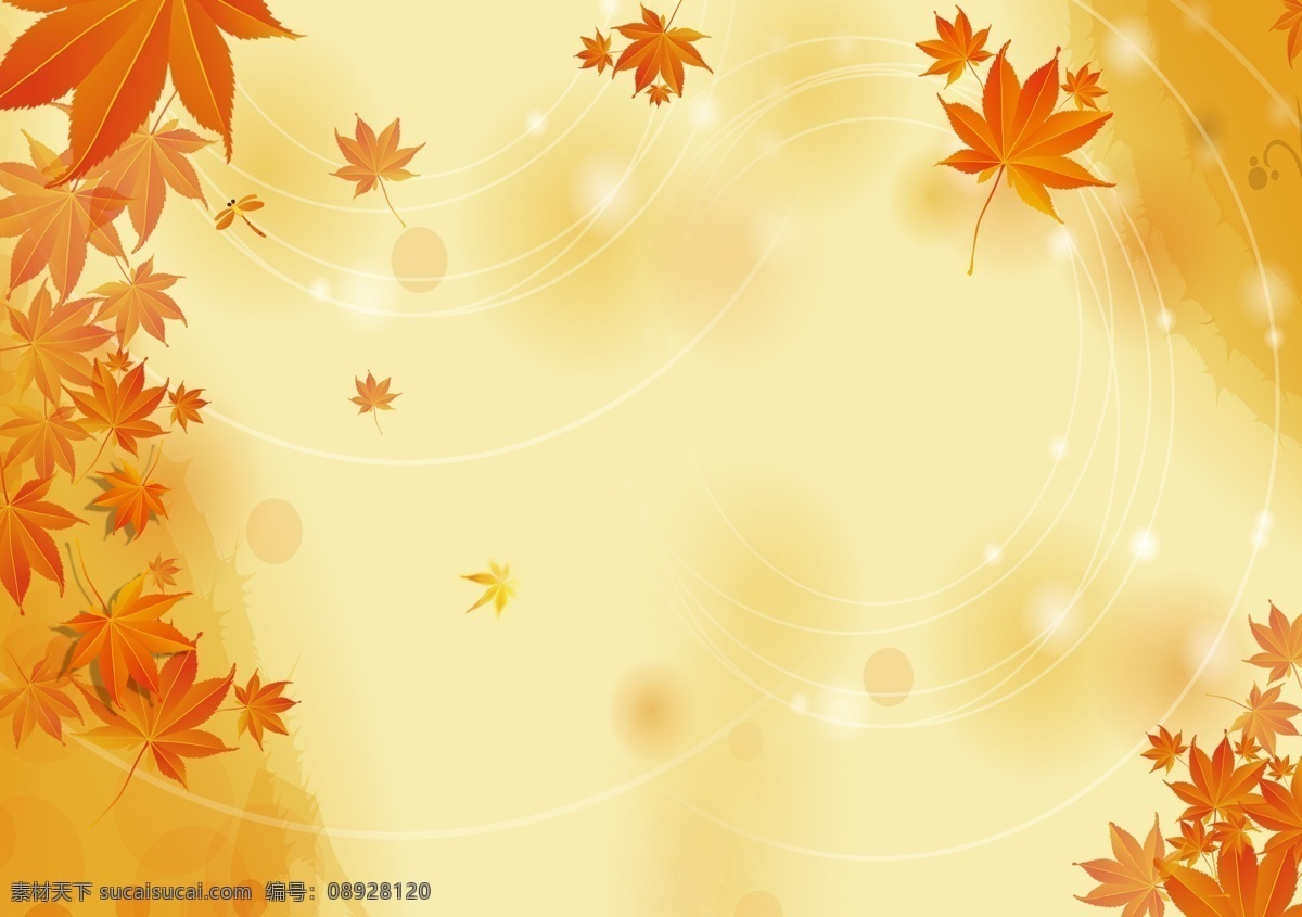 秋季 枫叶 黄色 背景 枫叶背景 秋天 枫叶星光背景