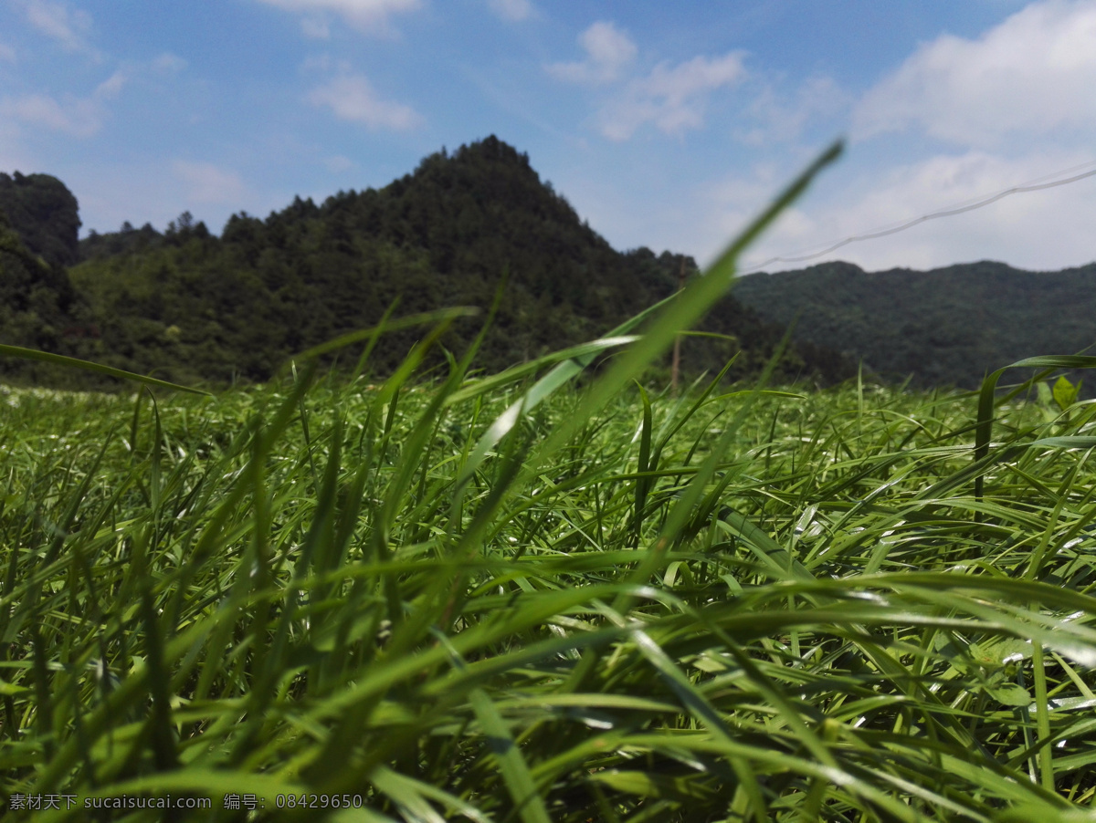 青草幽幽 花坝 旅游 景区 风景 旅游摄影 国内旅游