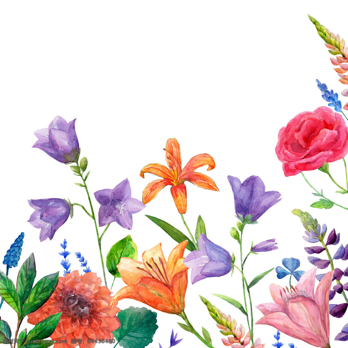 手绘花瓣 手绘花朵 花朵 手绘花 花簇 花团 花瓣 一枝花 花枝 花 水彩花朵 水彩花瓣 鲜花 鲜花图案 紫色花朵 红色花朵 玫瑰花 玫瑰 彩色花团 彩色捧花 小草 小杂草 小树叶 竹 植物 文化艺术 绘画书法