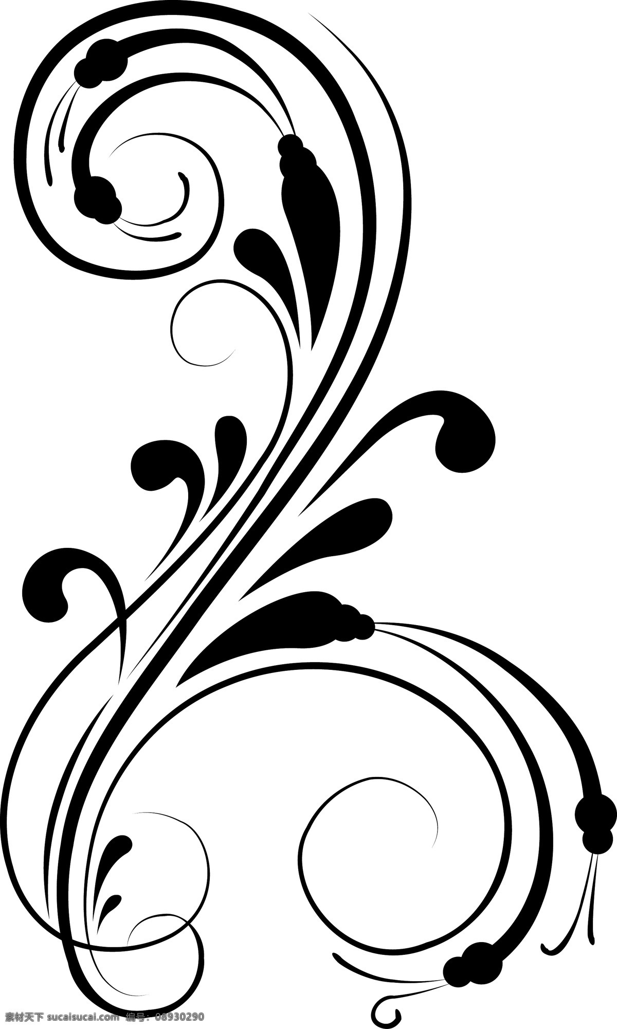 卷曲 花卉 元素 矢量 矢量图 花纹花边