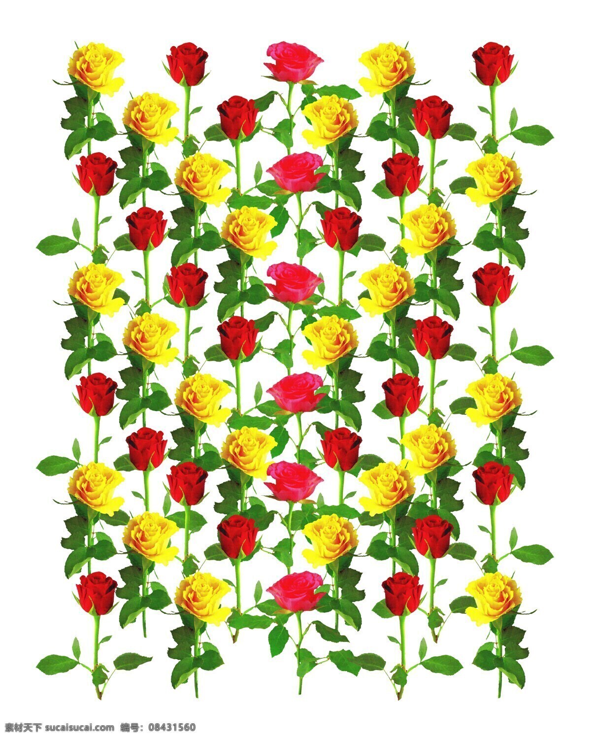 提花 地毯花纹 剪纸 花纹底纹 纹理 底纹 时尚纹理 时尚底纹 背景底纹 高档底纹 高档纹理 简洁底纹 线条底纹 地毯 地毯底纹 桌布纹理 桌布 简约欧式花纹 植物花纹 欧式怀旧复古 花纹边框元素 欧式怀旧花纹 欧式复古花纹 欧式背景 欧式底纹 欧式古典 古典花纹 衣服条纹 地板条纹 花纹背景 画框 底纹边框 花边花纹