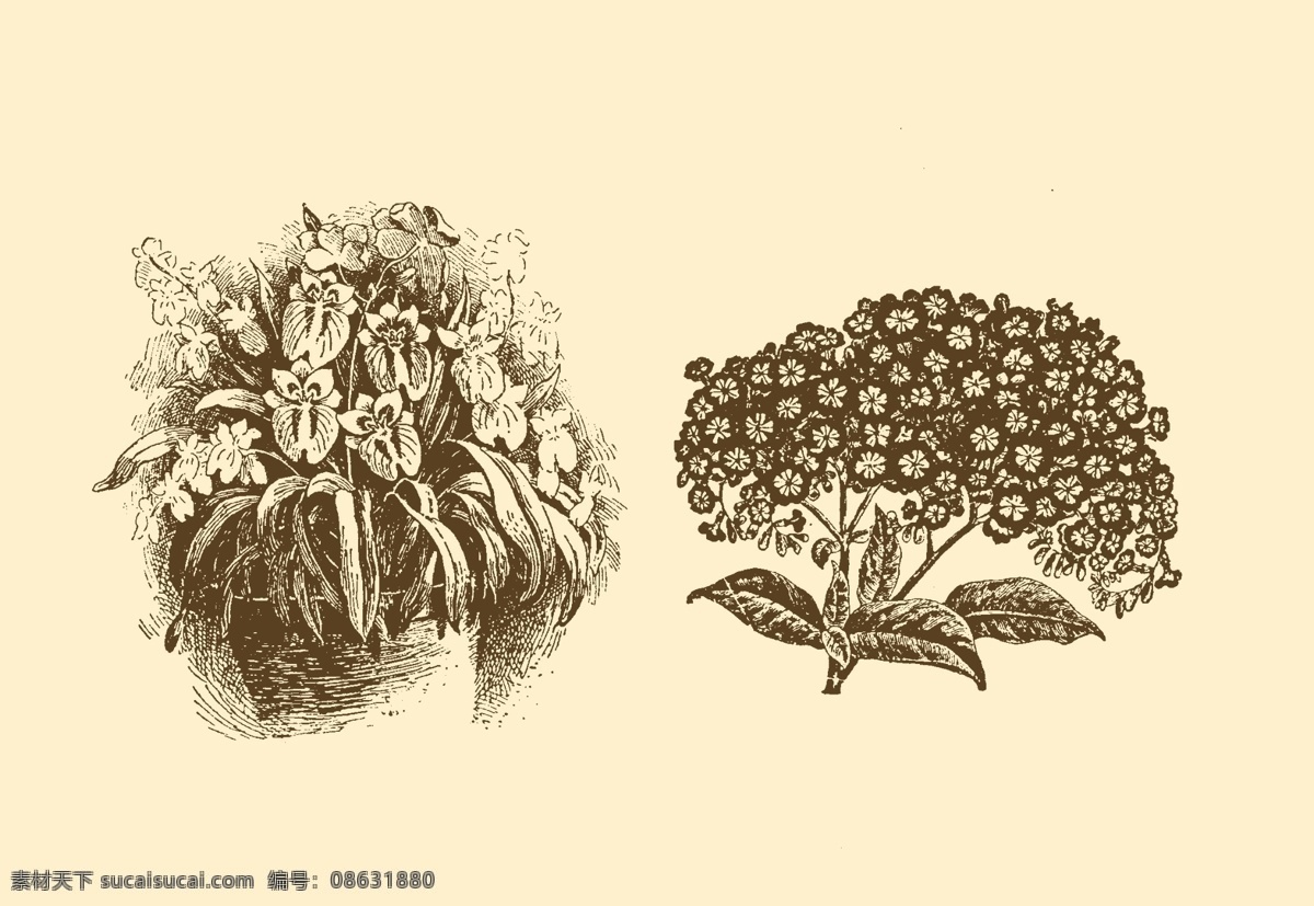 分层 版画 插画 插图 风光 钢笔画 黑板报 简笔画 植物 装饰画 模板下载 植物装饰画 图案 源文件 插画集