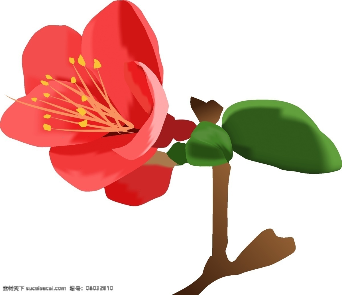 手绘 花卉 海棠 花开 手绘插画 海棠花开 百花之尊 花中神仙 花之贵妃 花卉插画 花姿潇洒 花开似锦 花色艳丽 彩绘