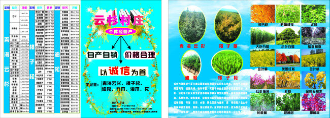 农业 树苗 植物 村庄 树木 花 等等 青色 天蓝色