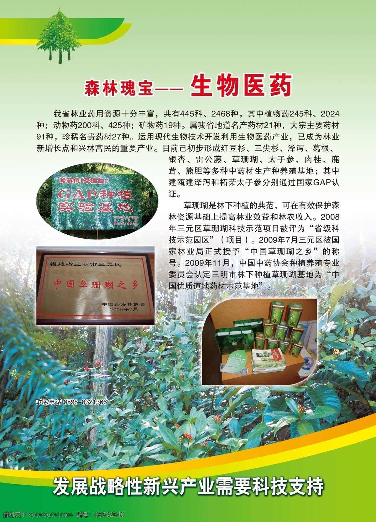 生物制药 模板下载 福建 红豆杉 森林 福建省 林业 业 厅 618 展会 展板 现代林业 闽 台 合作 新 领域 海西 闽台合作 福州 项目 成果 交易会 其他展板设计
