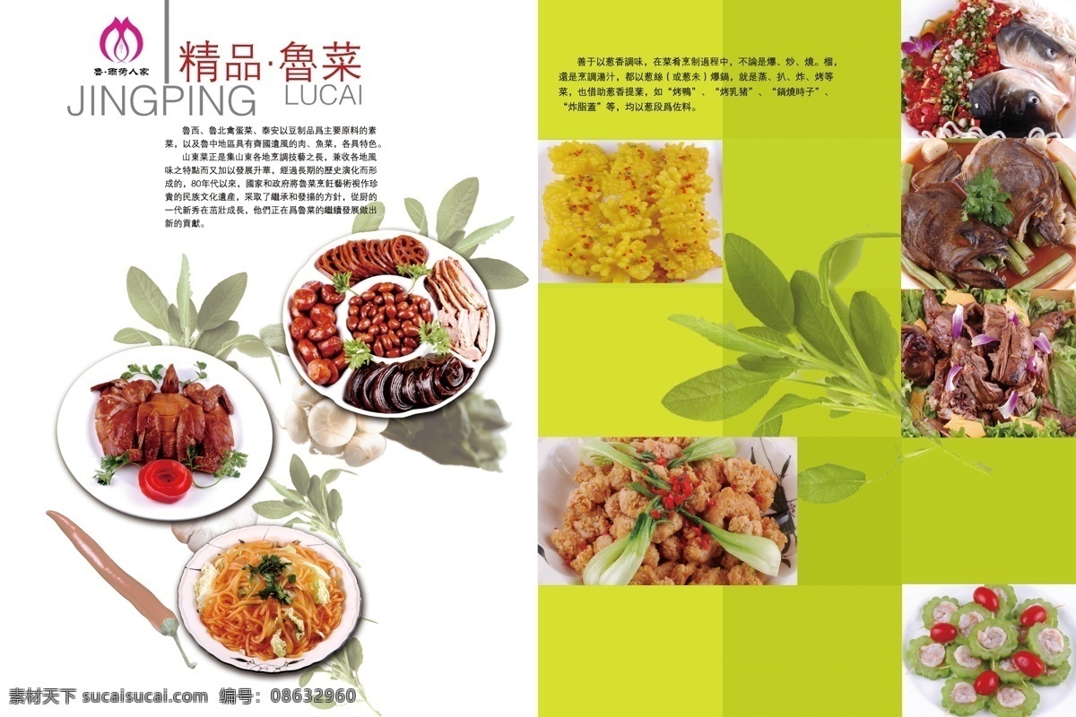 菜谱 菜单菜谱 菜谱模板下载 菜谱素材下载 广告设计模板 绿色 树叶 鱼头 鲁菜 源文件 画册 菜单 封面