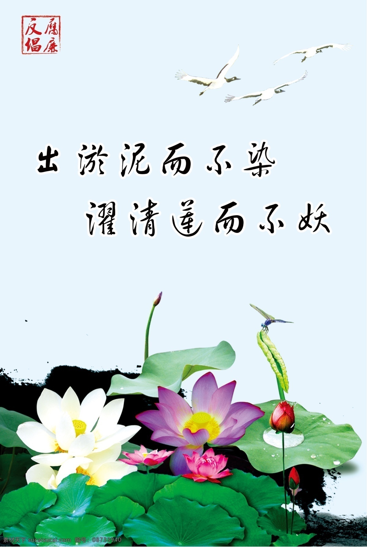 反腐 倡廉 荷花 出淤泥而不染 廉洁自律 反腐标语 倡廉标语 标语 反腐倡廉标语 廉政建设 廉政宣传 反腐倡廉文化 廉政 廉洁 廉政标语 廉洁标语