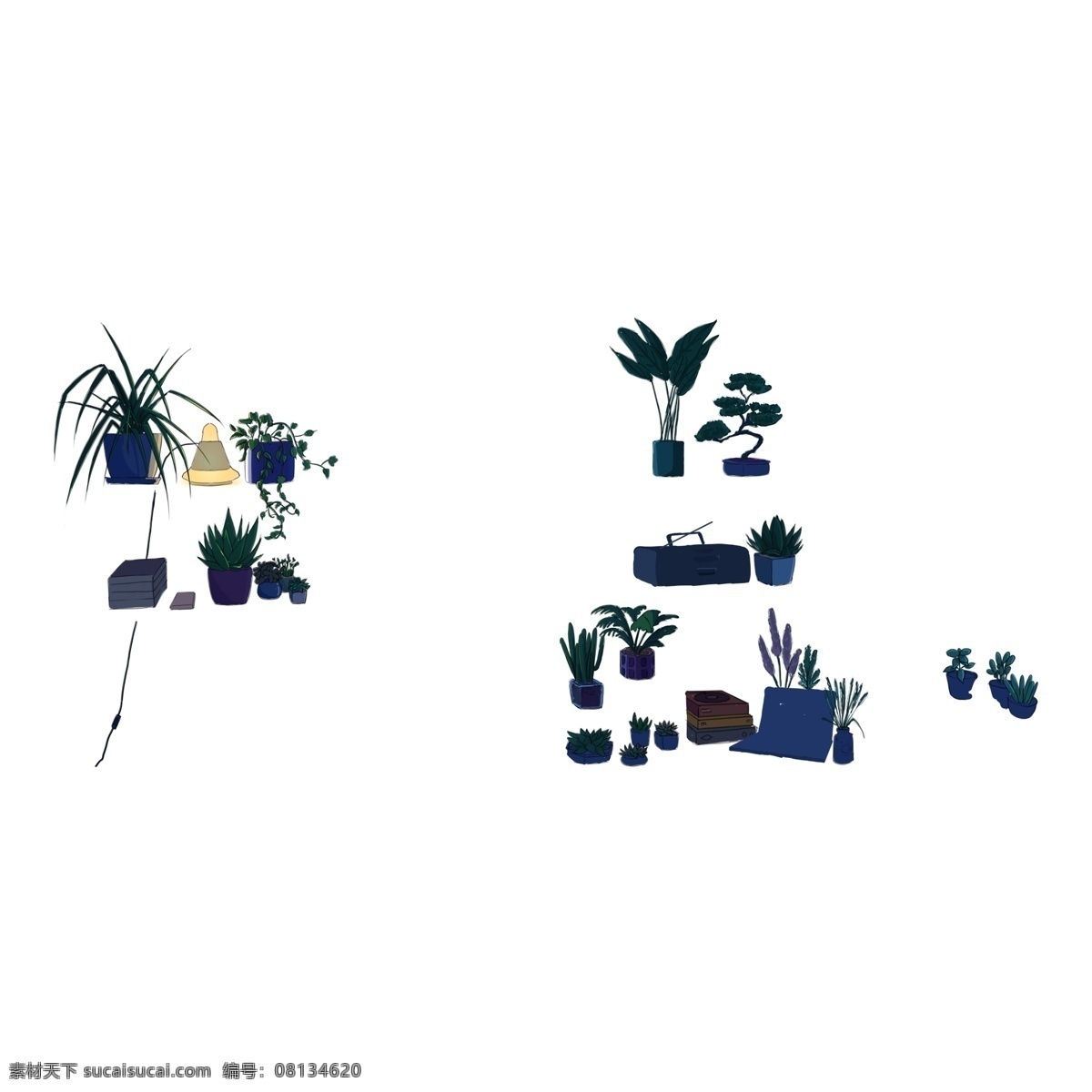 卡通 植物 免 抠 绿叶植物 插画绿植 插画盆栽 吊兰 美观 绿植 叶子 盆栽 绿叶 观赏植物