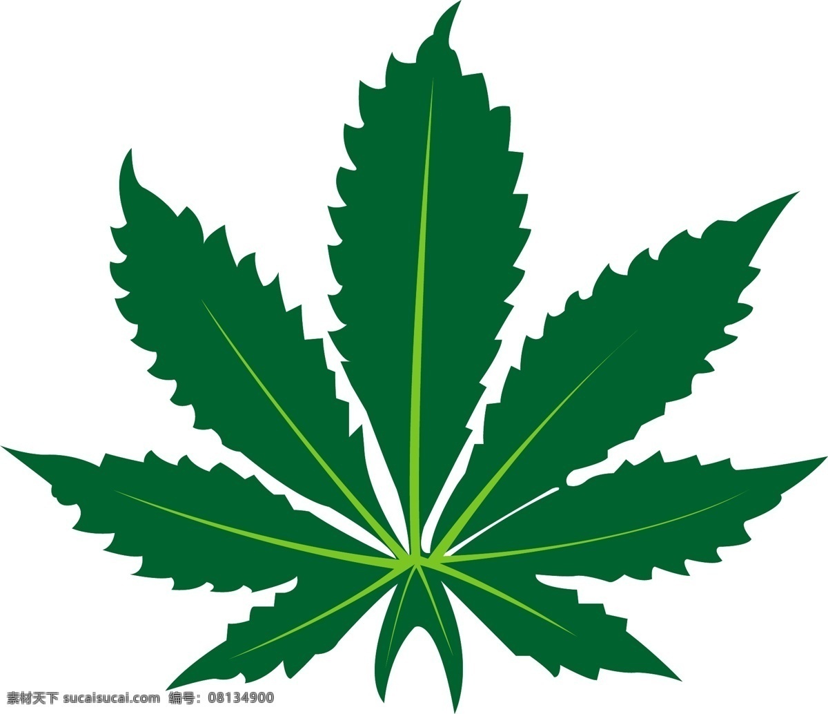 大麻叶 树叶 设计素材 野生动物 生物世界 矢量