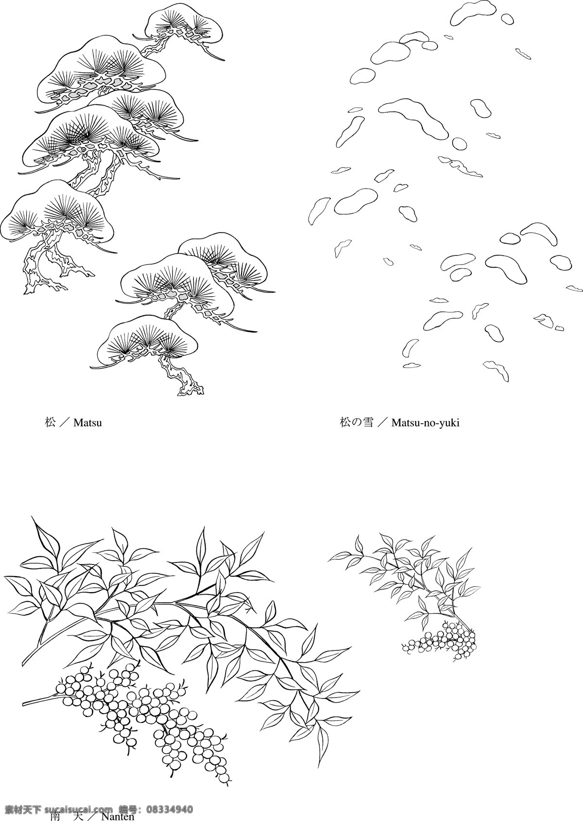 松雪和果树 松 雪 草本 花 叶 白描 素描 线稿 和式 日式 果 树 植物 颗粒 日本植物矢量 美术绘画 文化艺术 矢量