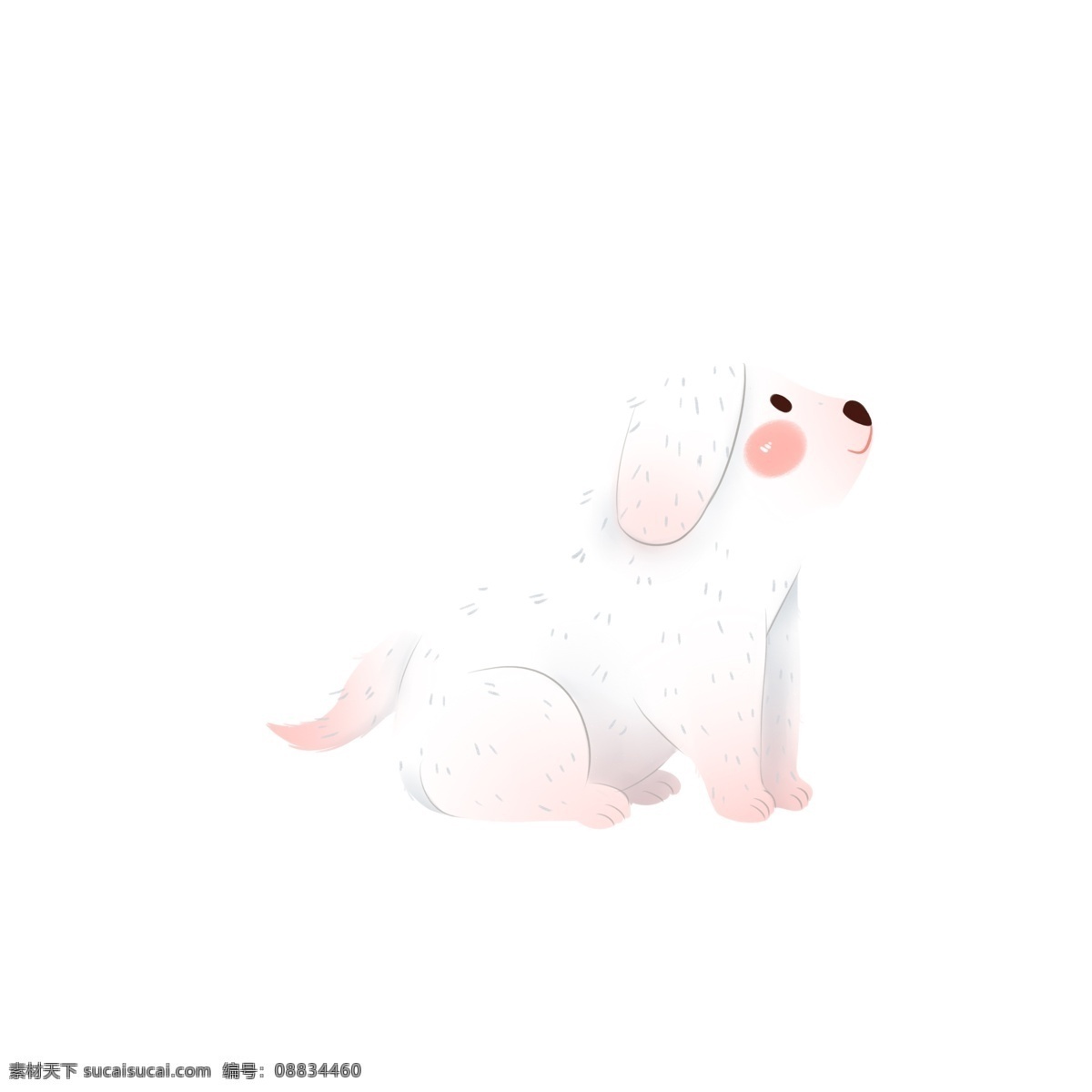 卡通 只 可爱 小狗 狗狗 动物 插画 白色 萌宠