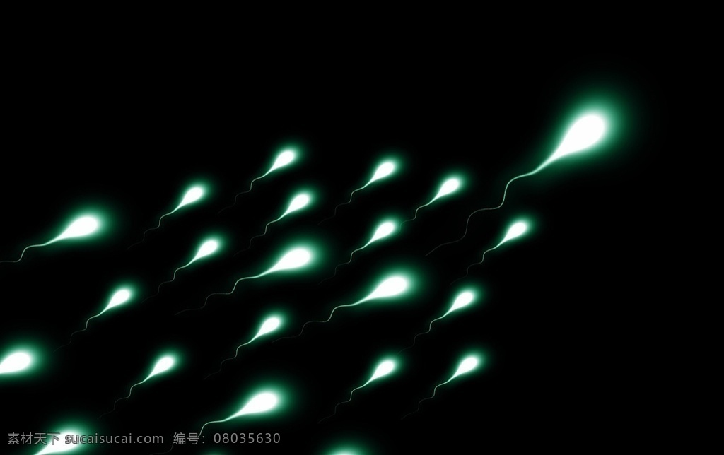 精子 蝌蚪 生物 结合 生命