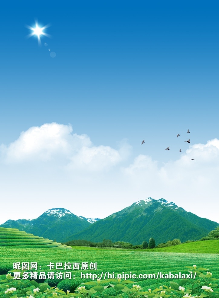 茶园 蓝天白云 春天 风景 茉莉花 叶子 草地 茶叶 茶庄 阳光 种植基地 绿色 蓝色 山坡 山峰 飞鸟 生机勃勃 活力 自然风景 大自然 山水画 天然 生态园 田园风光 茶叶广告 背景 底图 展板 宣传栏 蓝天 白云 分层 模板 原创 源文件