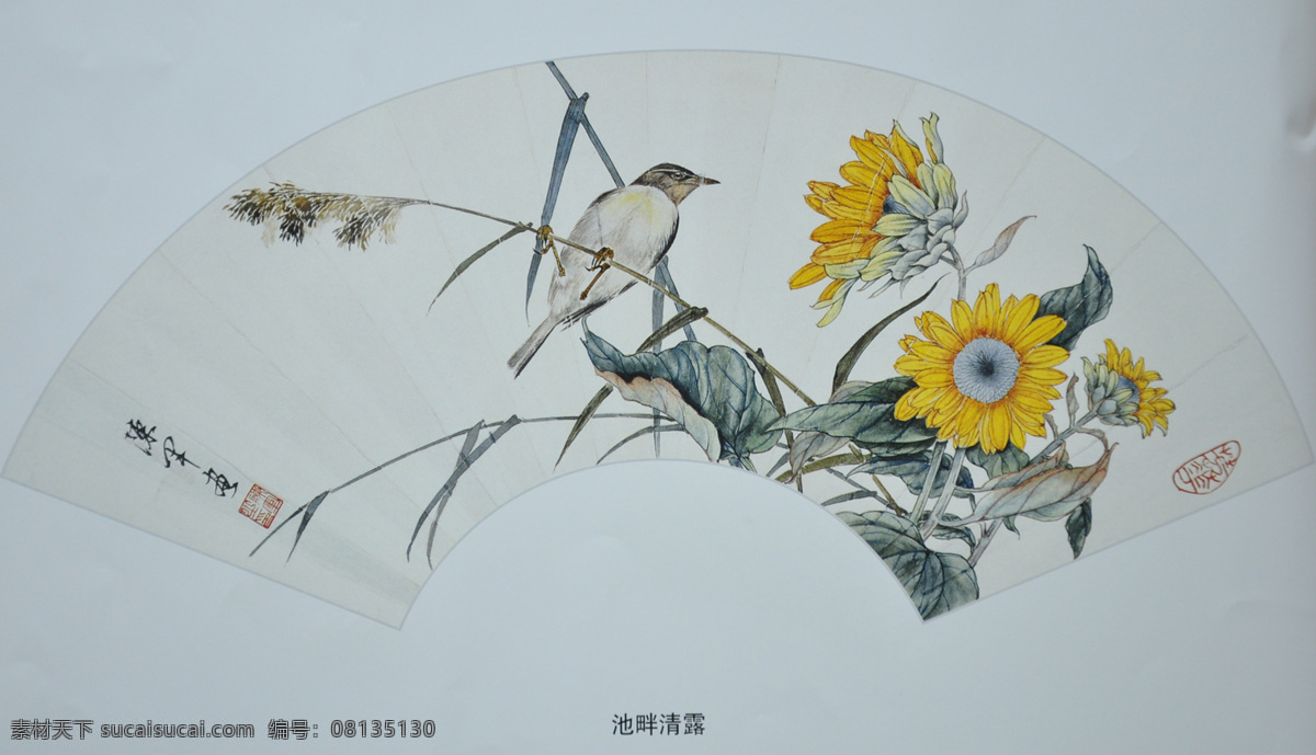 国画 工笔画 花鸟画 工笔扇面 池畔清露 文化艺术 美术绘画 美术 绘画 中国绘画 扇面 扇面收藏 扇面绘画 传统文化 绘画书法