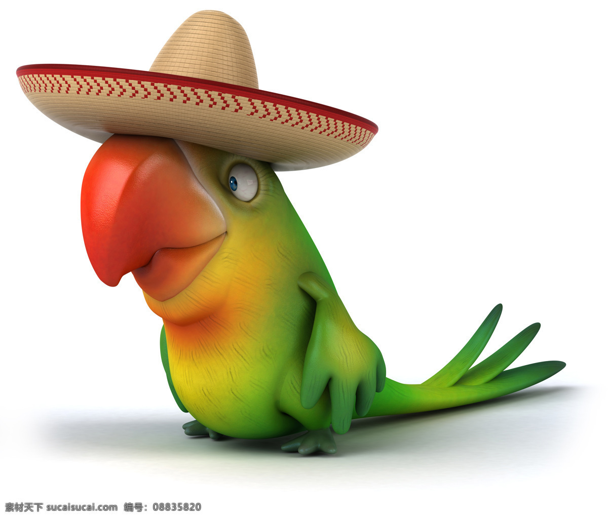 戴 帽子 鹦鹉 3d动物 有趣的动物 卡通动物 其他类别 生活百科