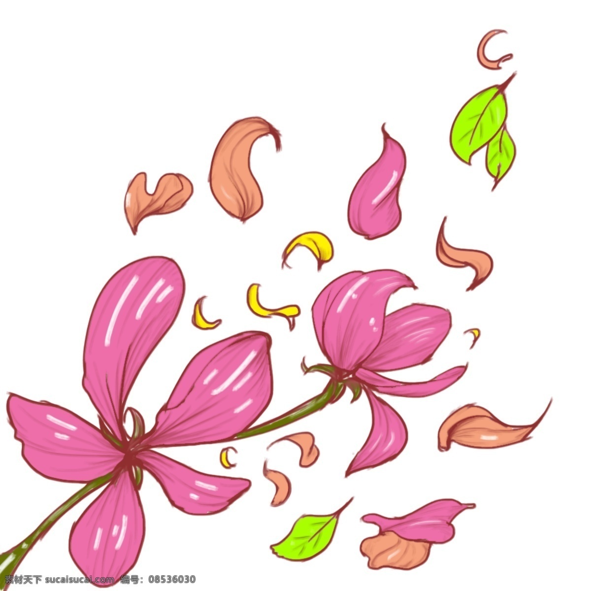 手绘 透明 底 飘落 花瓣 花 元素 商用 书签 贴图画 手绘花与花瓣 墙 画 可商用花素材