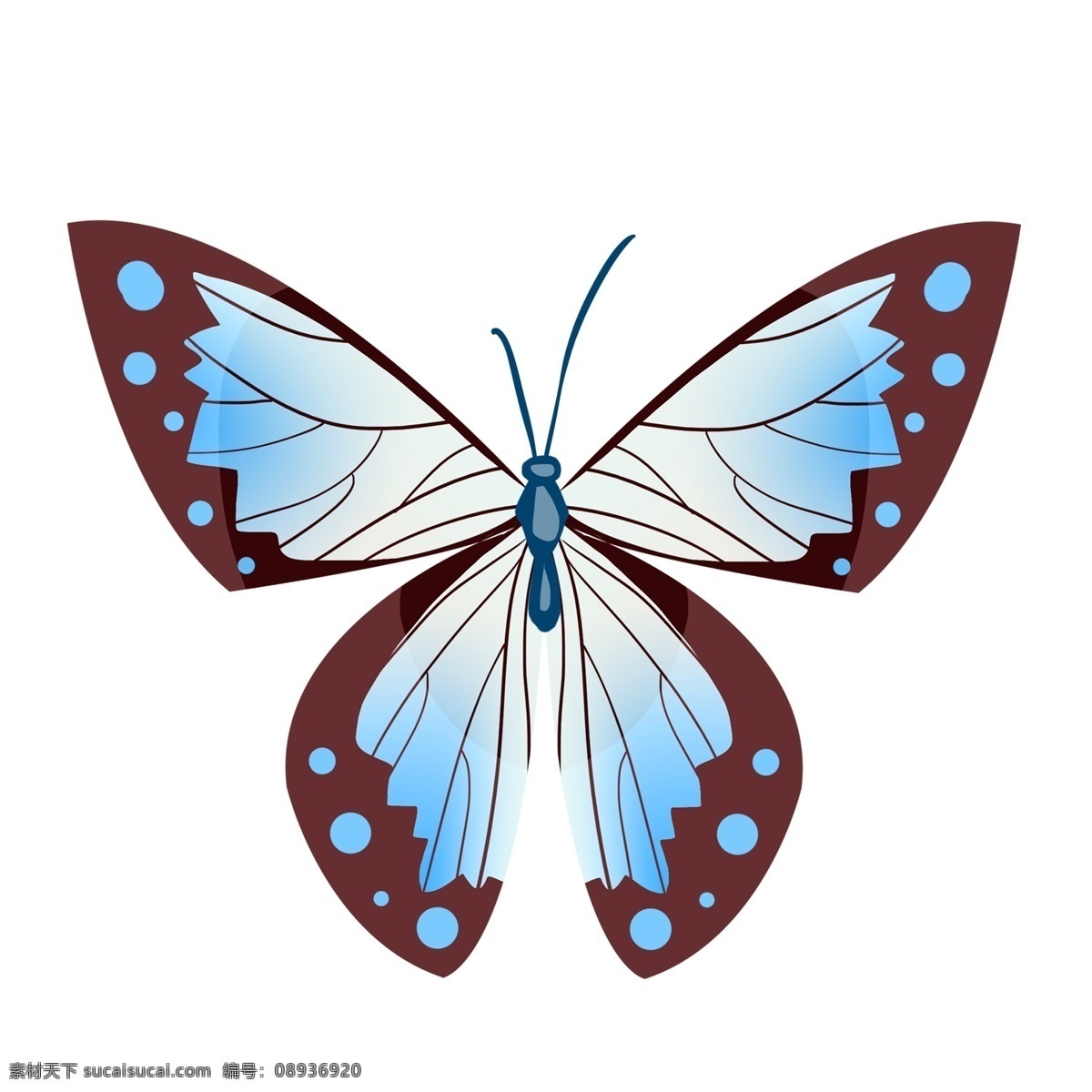 蓝色 蝴蝶 动物 插画 漂亮的蝴蝶 卡通插画 蝴蝶插画 益虫 蓝色的蝴蝶 动物插画 动物蝴蝶 昆虫
