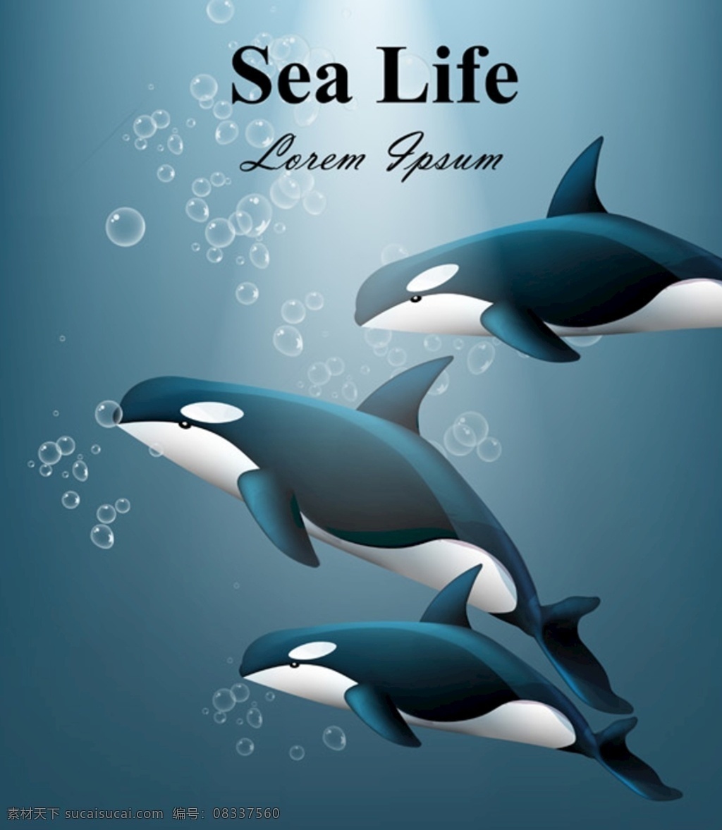 鲸鱼 卡通 动物 海洋 气泡 海底 生物世界 海洋生物