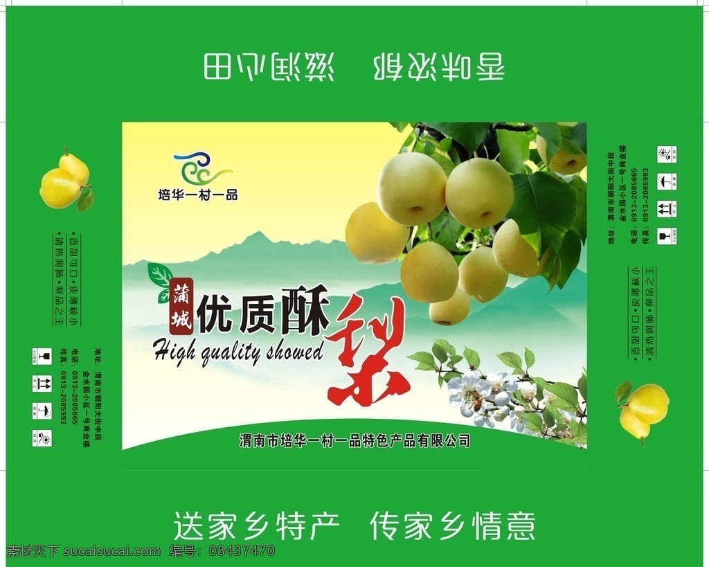 蜜梨包装 蜜梨 酥梨 雪梨 梨果 水果包装 包装设计 包装3