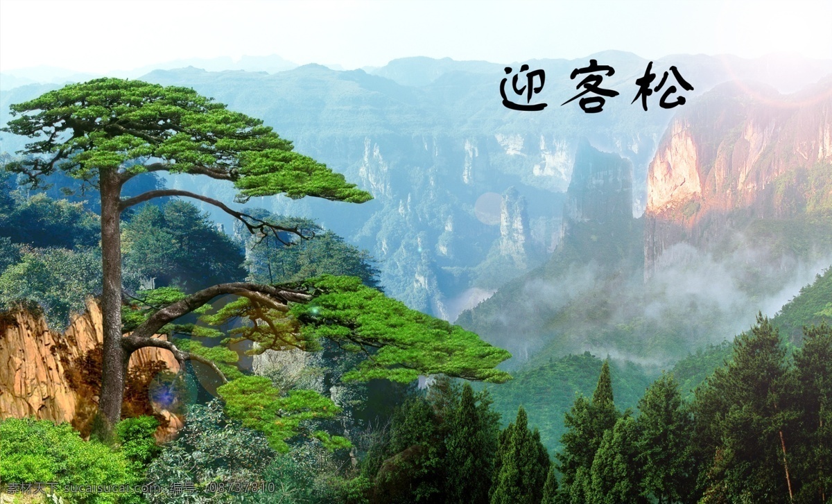 迎客松 黄山迎客松 黄山日出 旭日东升 松鹤延年 风景 风景画 山水 山水画 山水风景 自然风景 风景图 山水装饰画 风光 美丽风景 财源广进 山水图 中堂画 装饰画 壁画 风水画 山水壁画 风景壁画 客厅画 客厅山水画 客厅装饰画 客厅风水画 休闲挂画 风景如画 山 山峰 锦绣河山 江