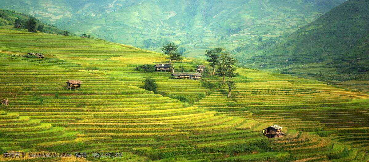 山坡 上 梯田 美景 绿色 树木 壮观 多娇江山 自然景观 自然风景