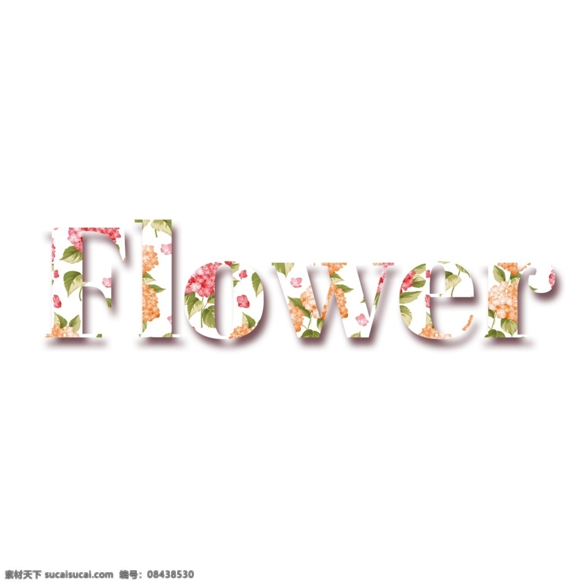 七彩 花朵 简单 字体 华美 花卉 美丽 新鲜 凉 背景 简单的字体 可编辑的字体 书法