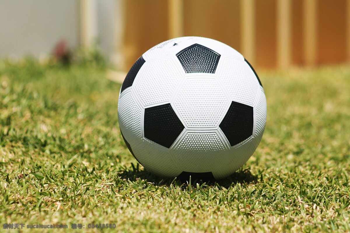 运动足球 足球 运动 草地 球类运动 soccer 生活百科 体育用品