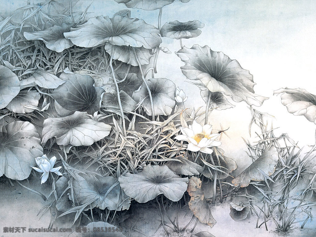 国画 水墨画 中国画 作品 大师作品 绘画书法 山水画 荷叶 水 池塘 草 蜻蜓 文化艺术