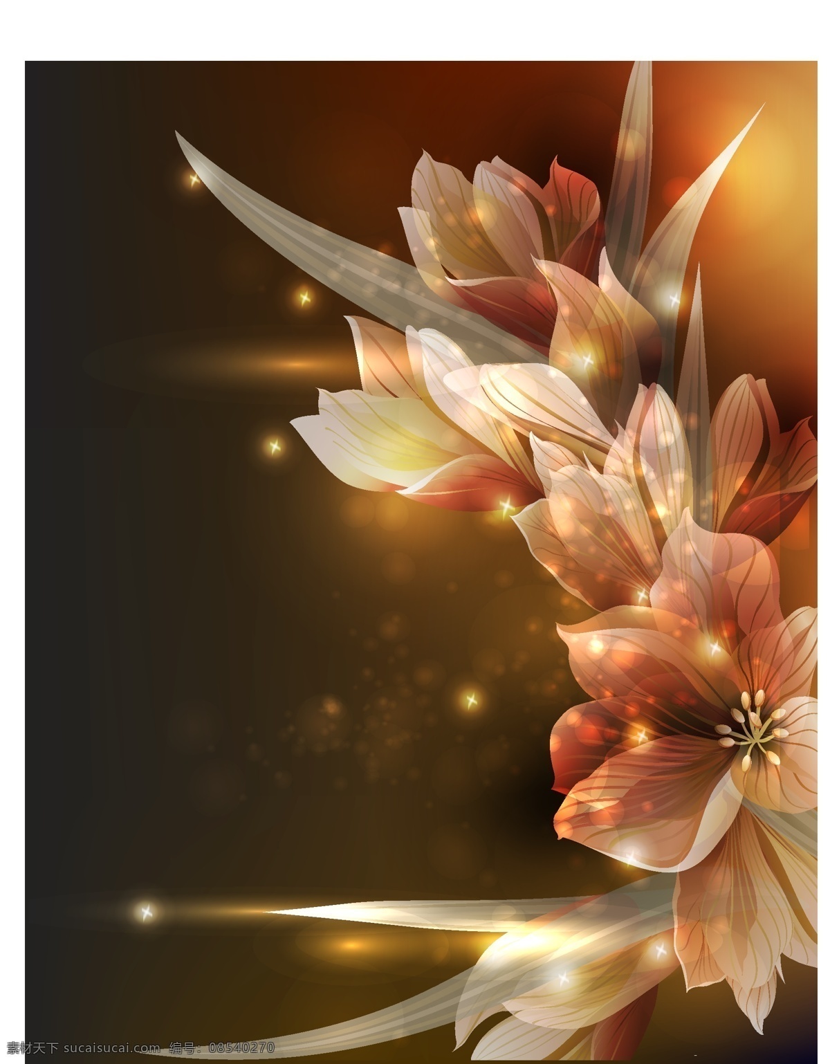 精美 幻彩 花卉 背景 精美花卉 幻彩花卉 璀璨花卉 矢量图 花纹花边