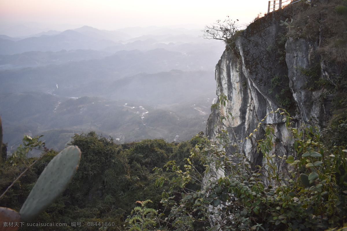 悬崖 仙人掌 大山 天空 山顶 石头上 自然景观 山水风景