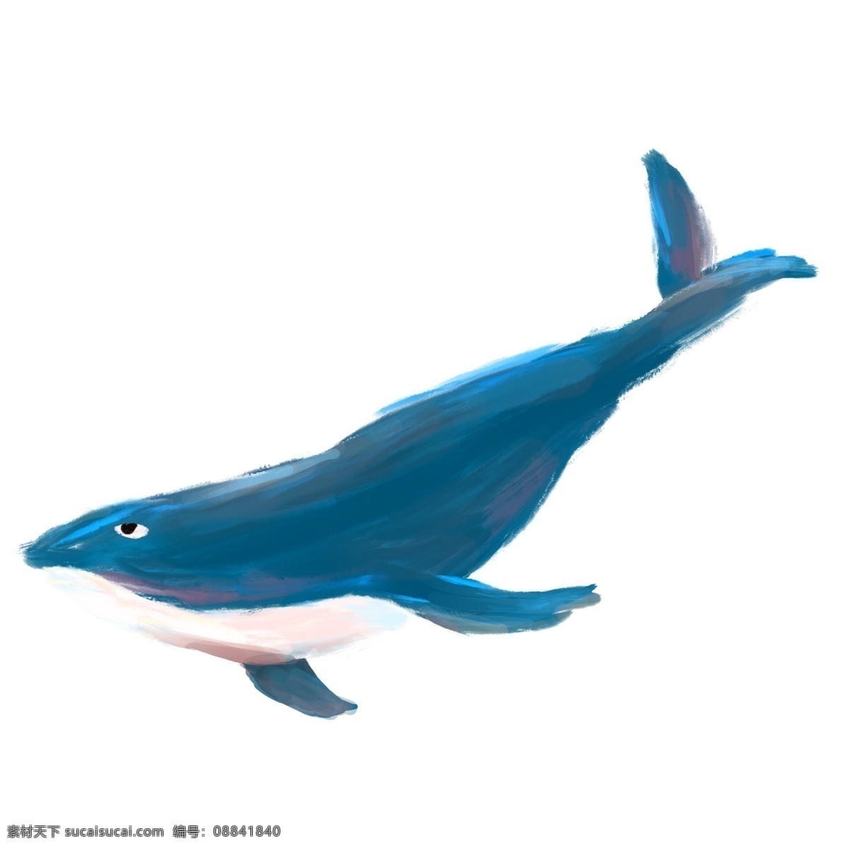 卡通 清新 蓝色 鲸鱼 透明 可爱风 卡通元素 动物 免抠元素