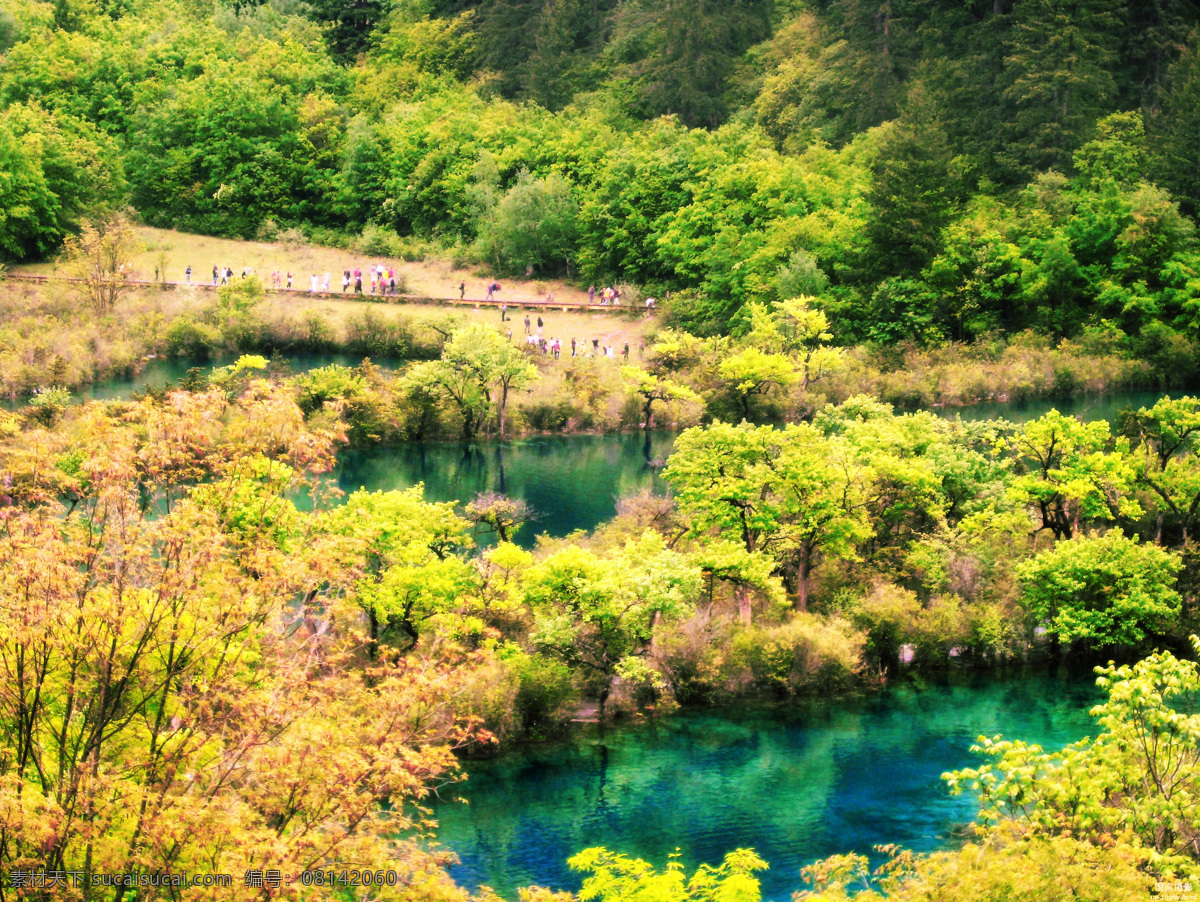 山水 九寨沟 四川旅游 湖 湖水水流 高山 树丛 森林公园 梦幻 山水风景 自然景观 自然风景