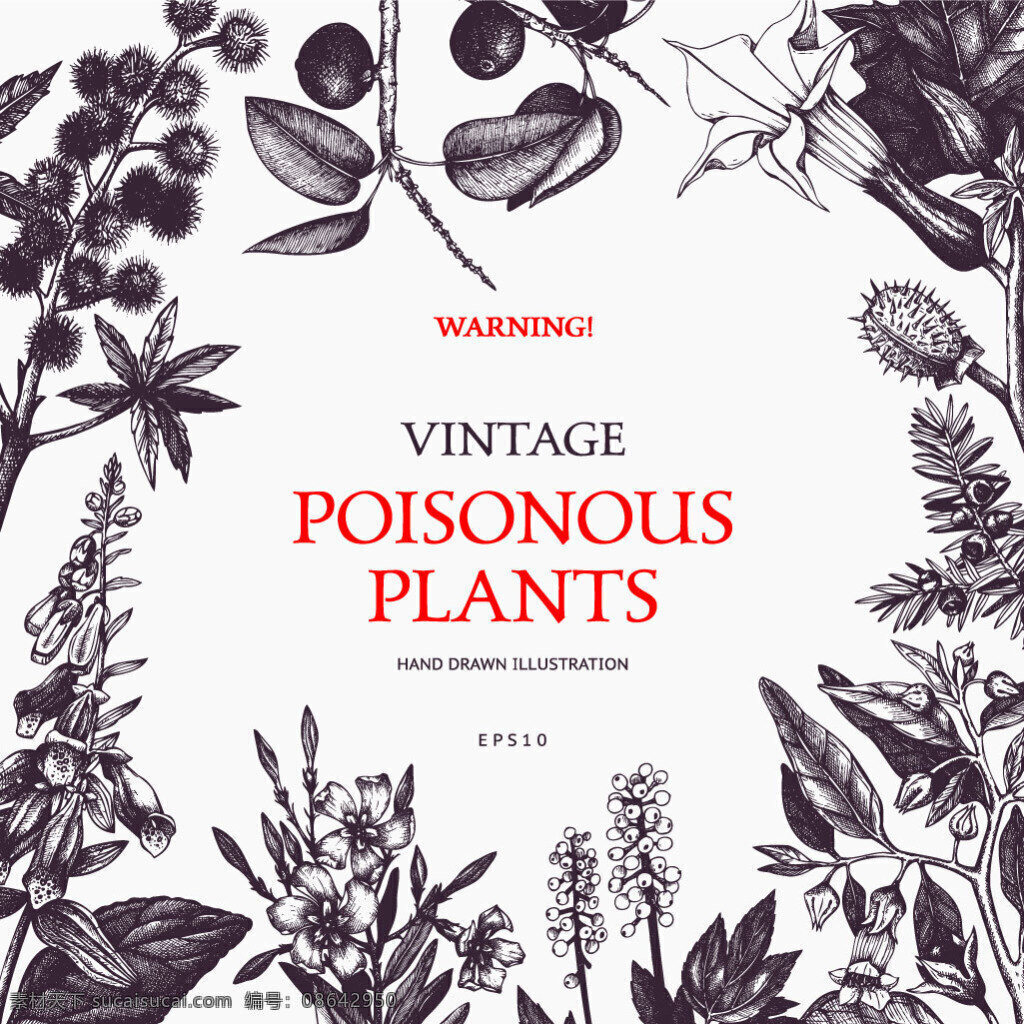 有毒 植物 警告 海报 装饰 背景 矢量 有毒植物 警告海报 装饰背景 矢量素材