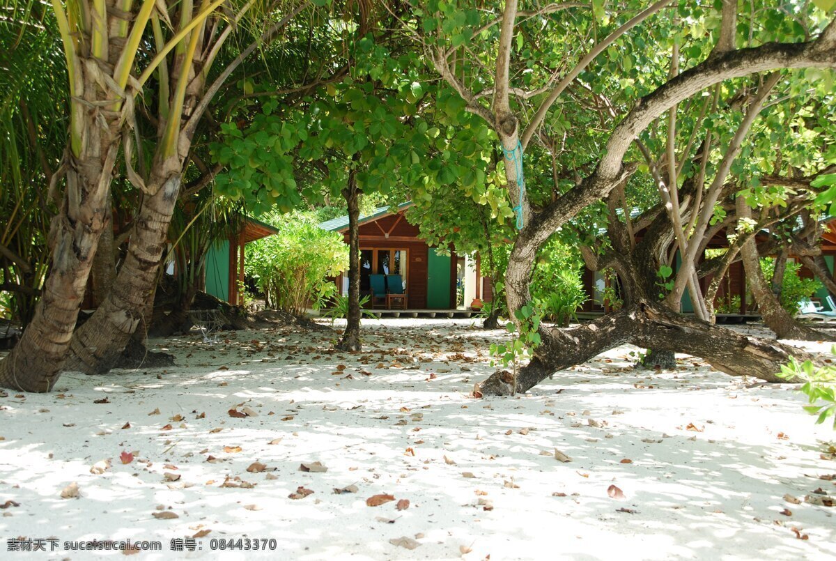 马尔代夫 海滩 别墅 自然 场景 风景 生活 旅游餐饮