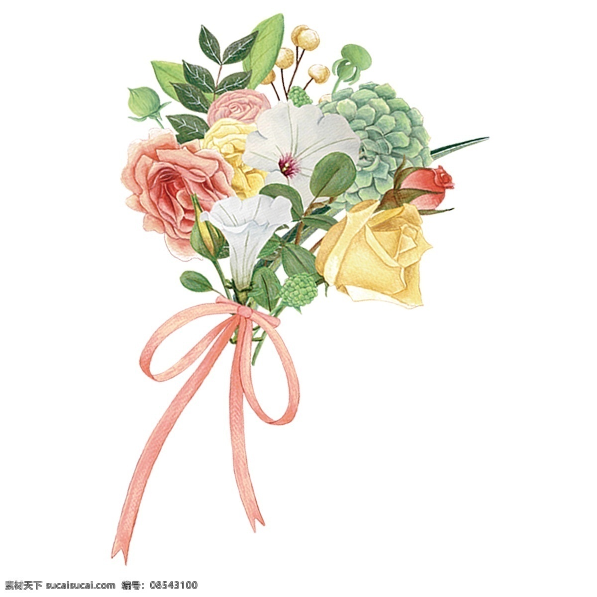 水彩 花卉 装饰 免 抠 图 扣 花朵 透明素材 卡通素材