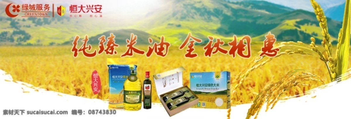 恒大 粮油 宣传 banner 焦点 淘宝界面设计 淘宝 广告
