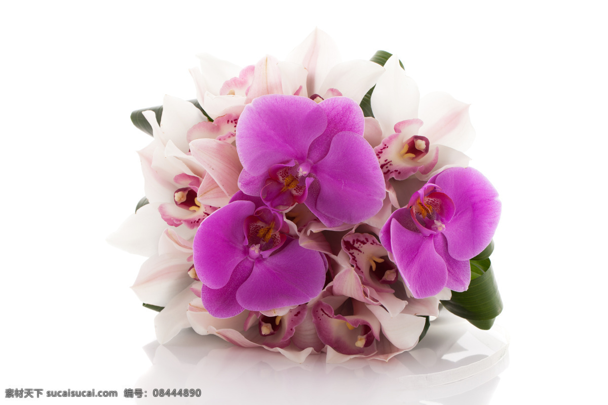 鲜花 手捧花 花束 唯美花朵 花卉 紫色花朵