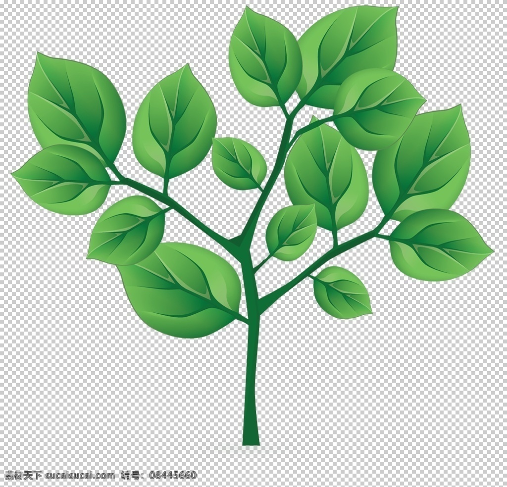 绿色相框 边框 花纹 花边 角边 矢量边框 欧式花边 欧式边框 精美边框 欧式 精美 时尚 黑白 流行 矢量 黑色花边 矢量花边 古典边框 古典花纹边框 精美花纹边框 矢量花纹边框 婚庆花纹边框 自然 素材图片 背景 装饰 绿色 免扣 自然背景