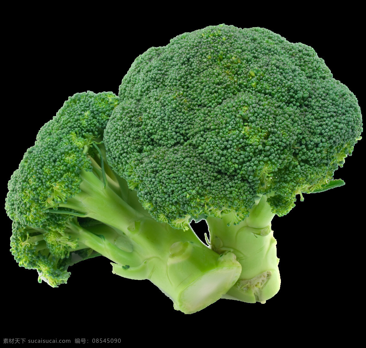 西兰花 蔬菜 新鲜蔬菜 有机蔬菜 绿色蔬菜 农产品 菜篮子 生物世界