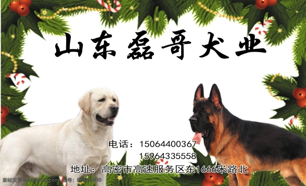 牧羊犬名片 牧羊犬 名片 个人 狗 魔漫印象 名片卡片