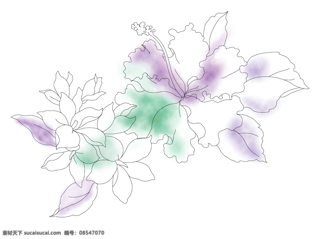 兰花 水墨兰花 线描兰花 分层 源文件